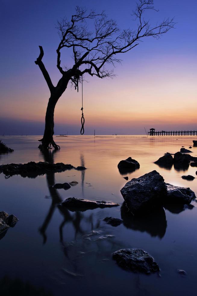 silhouette d & # 39; un arbre sur la plage photo