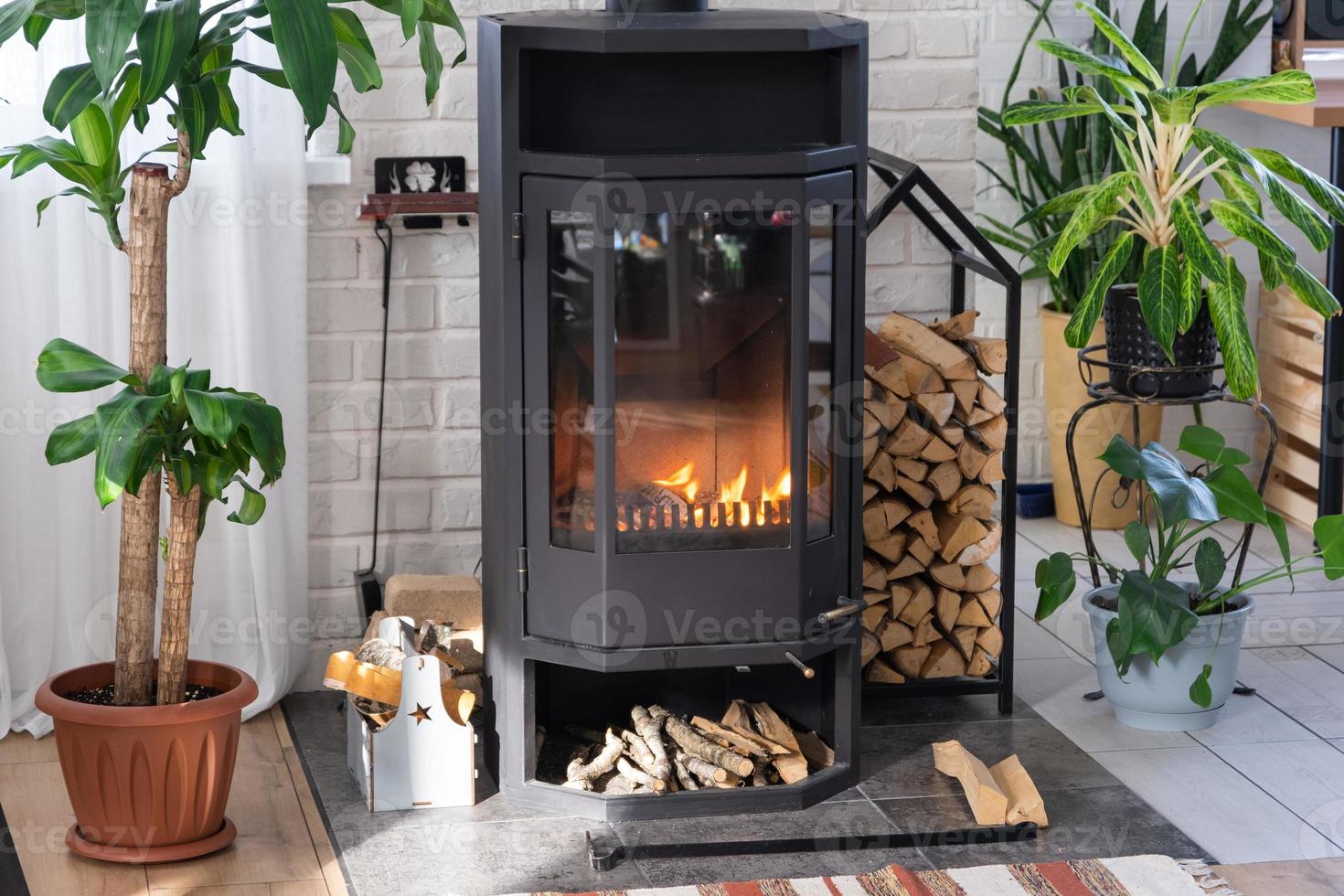 noir métal acier cheminée le fourneau avec Feu et bois de chauffage dans vert Accueil avec intérieur plante dans fleur pot dans village maison. confortable Accueil foyer dans intérieur avec mis en pot les plantes photo