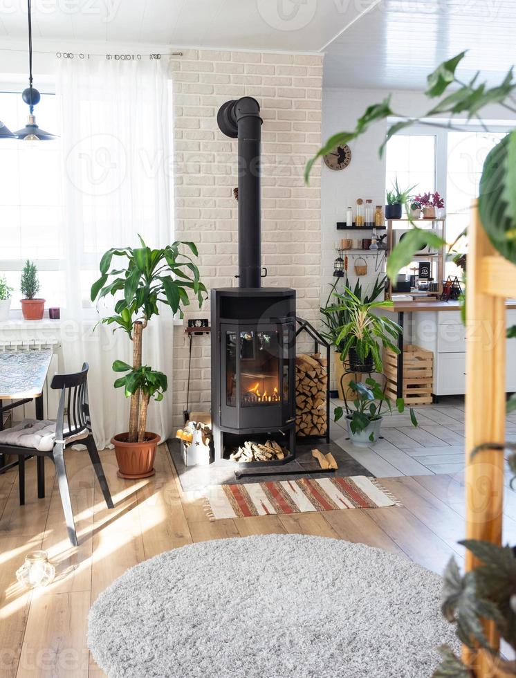 noir métal acier cheminée le fourneau avec Feu et bois de chauffage dans vert Accueil avec intérieur plante dans fleur pot dans village maison. confortable Accueil foyer dans intérieur avec mis en pot les plantes photo