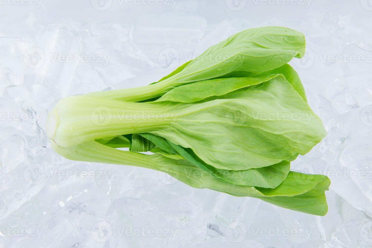 bok choy sur la glace photo