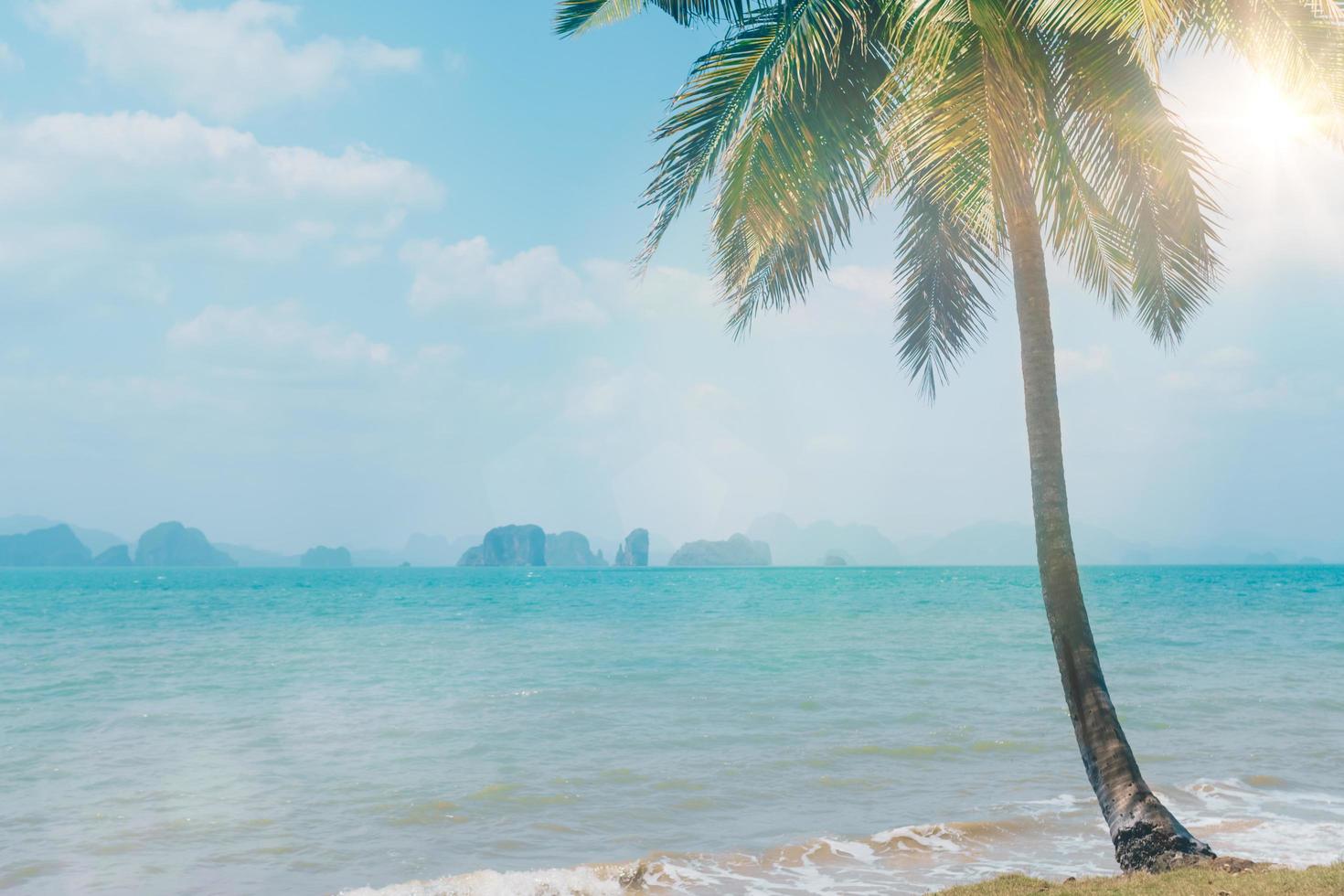 plage tropicale pendant la saison estivale avec un fond de ciel bleu photo