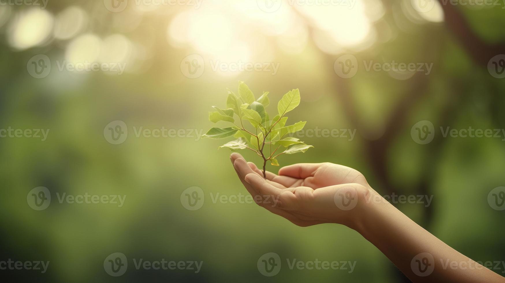 artistique mains embrasse la nature beauté en portant arbre plus de flou Contexte photo