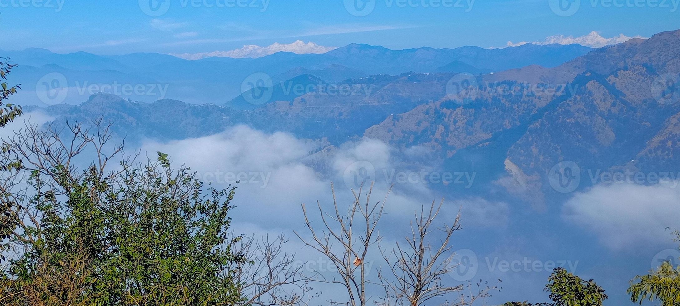 fleur la nature uttarakhand photo