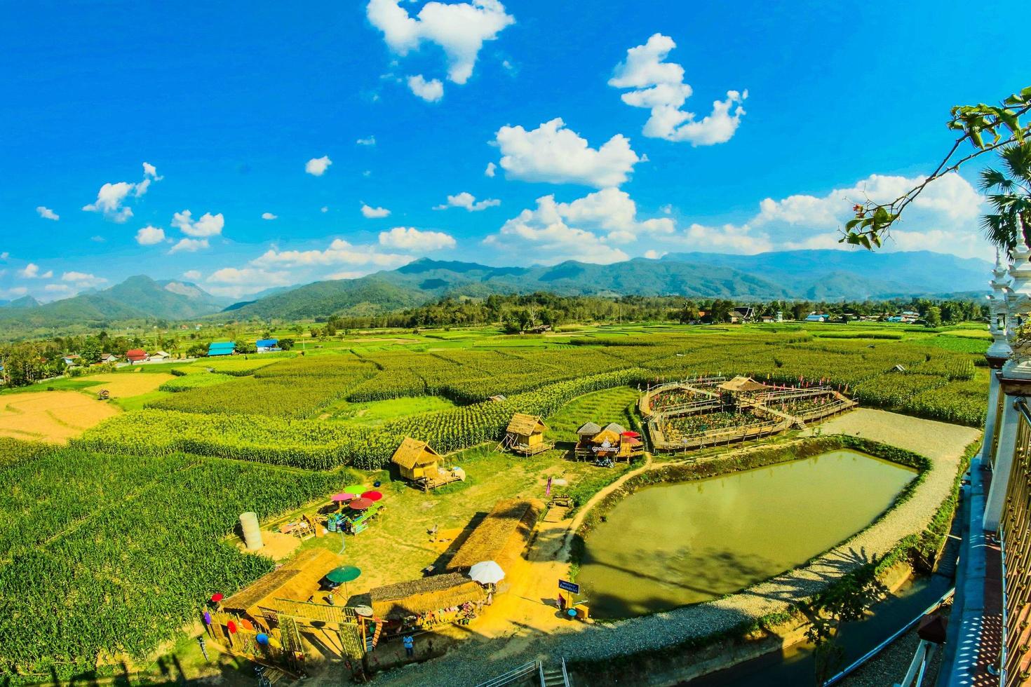 île de Phuket, Thaïlande, 2021 - vue aérienne d'une ferme photo