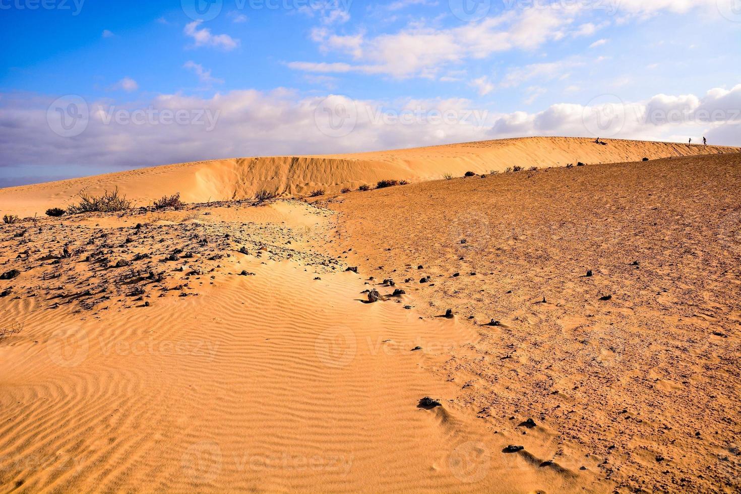 paysage désertique pittoresque photo