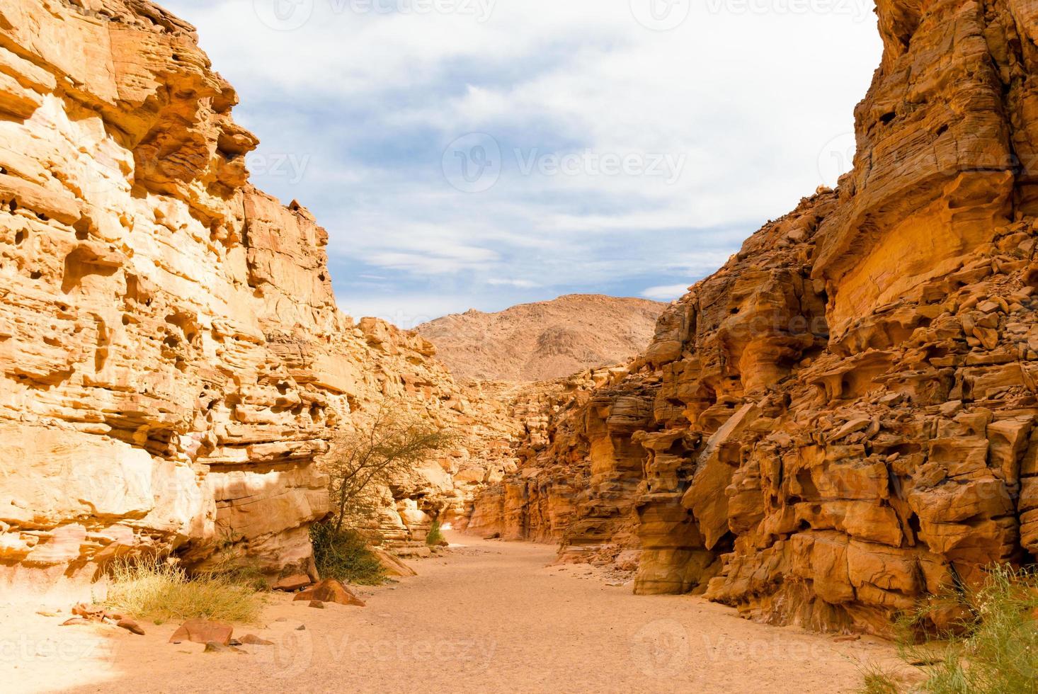 vallée dans un canyon rocheux photo