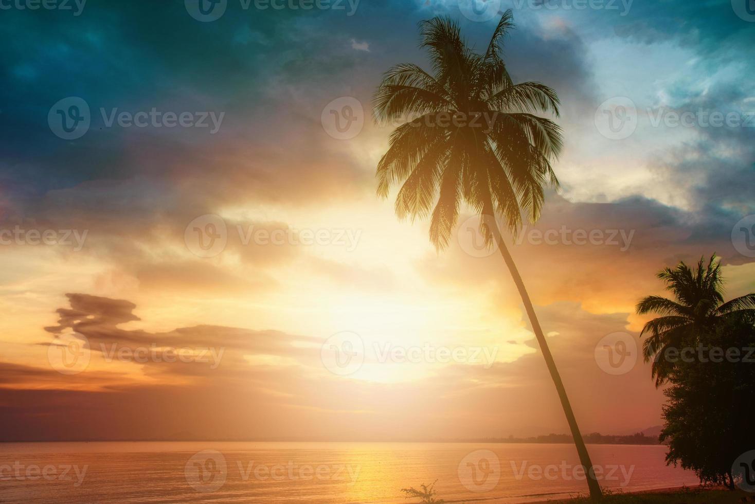 silhouette de cocotiers sur la plage au coucher du soleil. ton vintage. photo