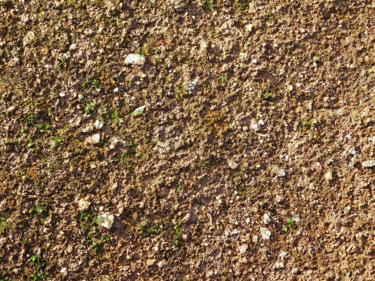 patch de sol pour le fond ou la texture photo