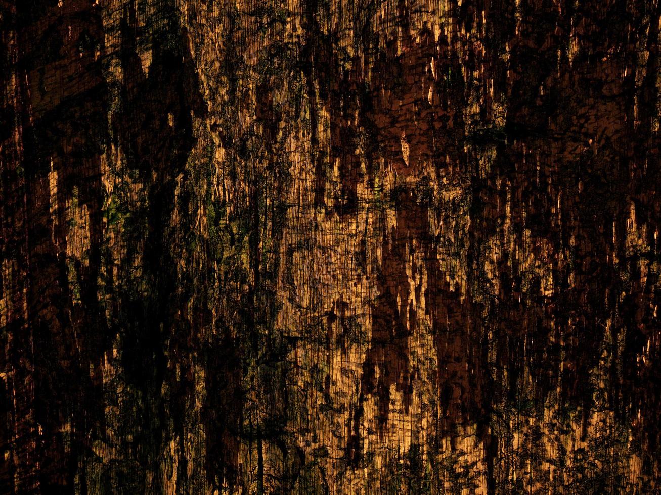 gros plan de l'écorce des arbres pour le fond ou la texture photo