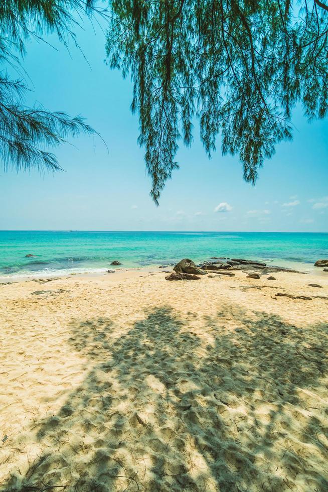 belle plage tropicale paradisiaque et mer photo