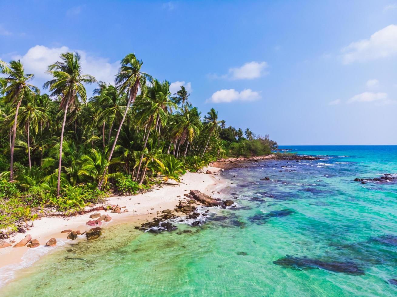 vue aérienne de la belle plage et de la mer avec cocotier photo