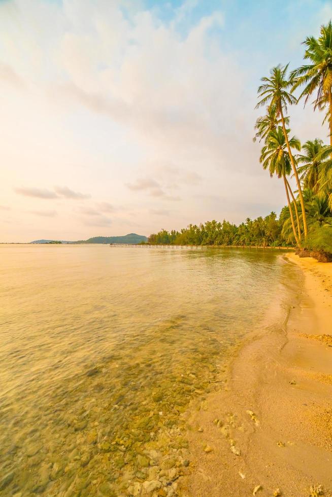belle île paradisiaque avec plage et mer autour de cocotier photo