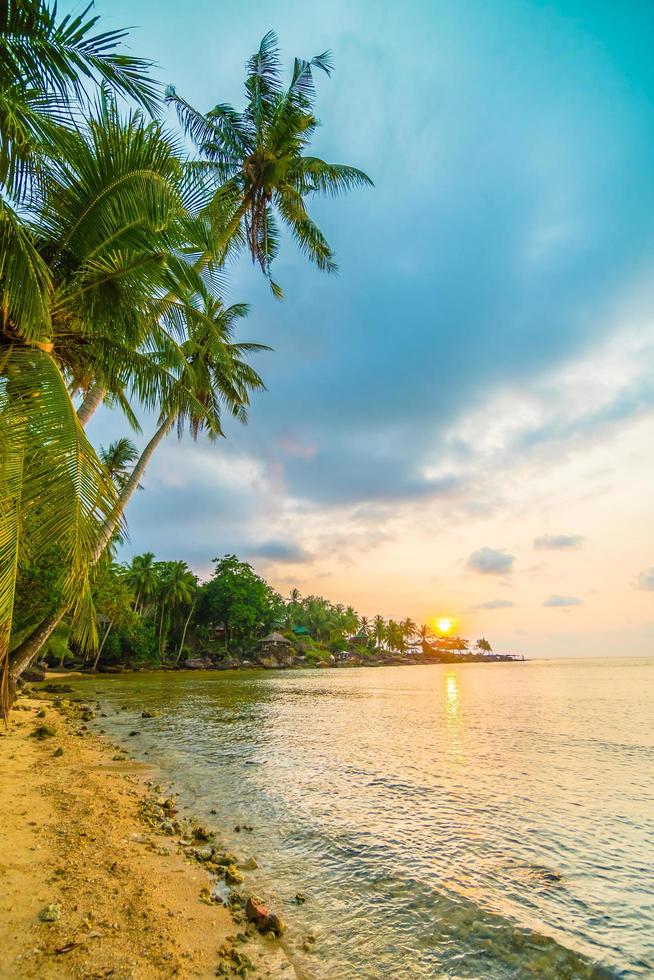 belle île paradisiaque avec plage et mer autour de cocotier photo