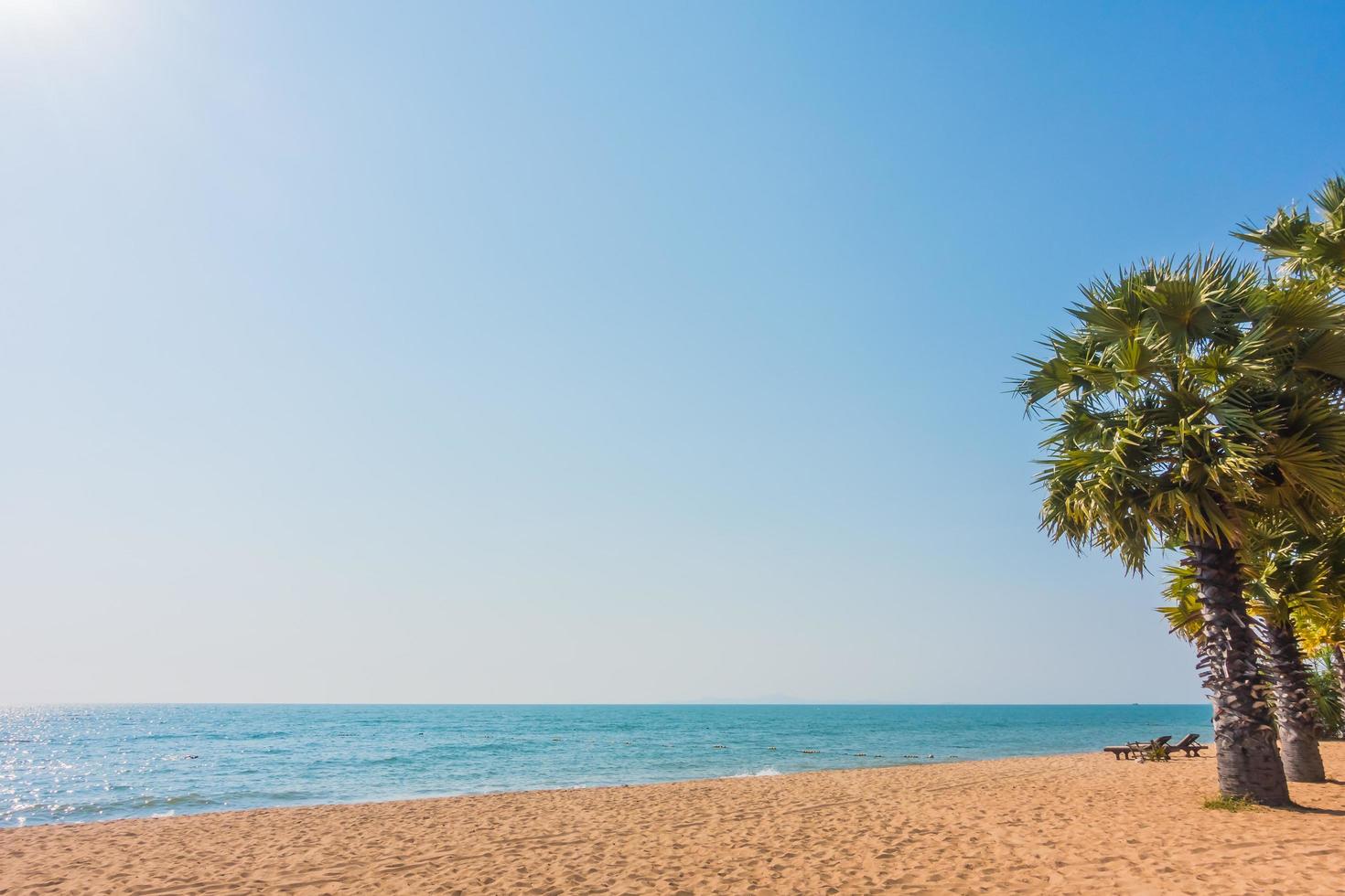 belle plage et mer avec palmier photo