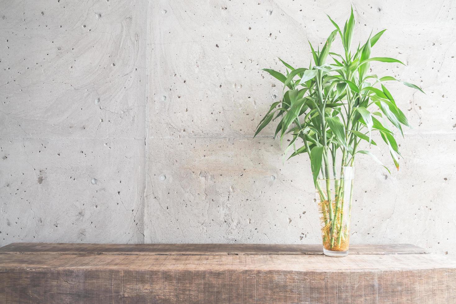 décoration de plantes de vase avec salle vide photo