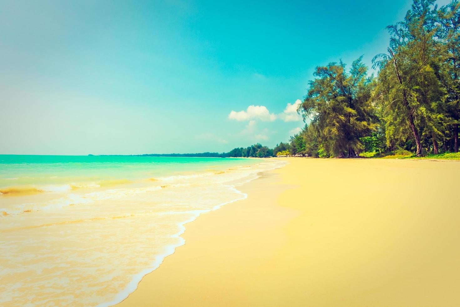 belle plage tropicale et mer photo