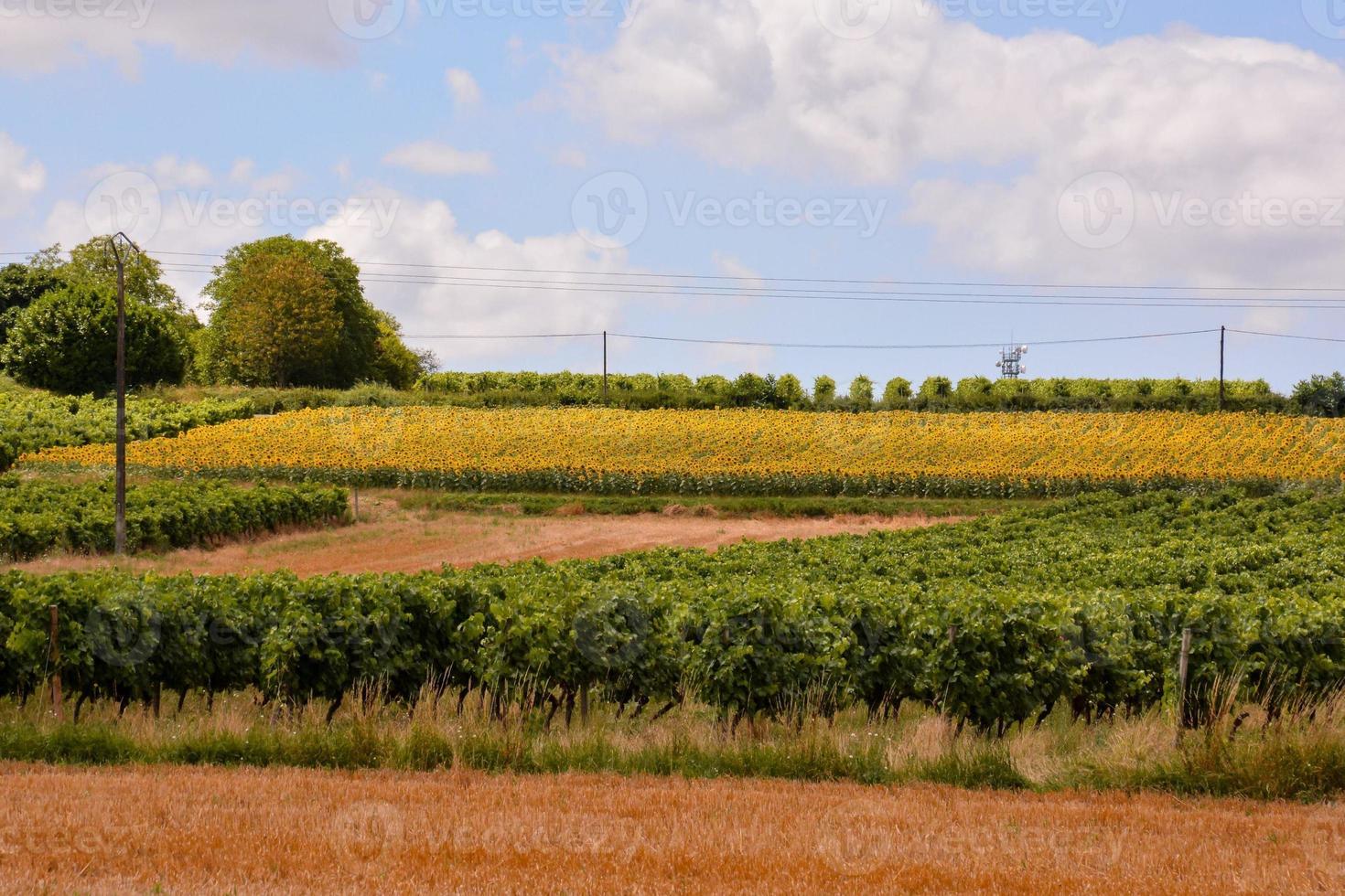 scénique rural paysage photo