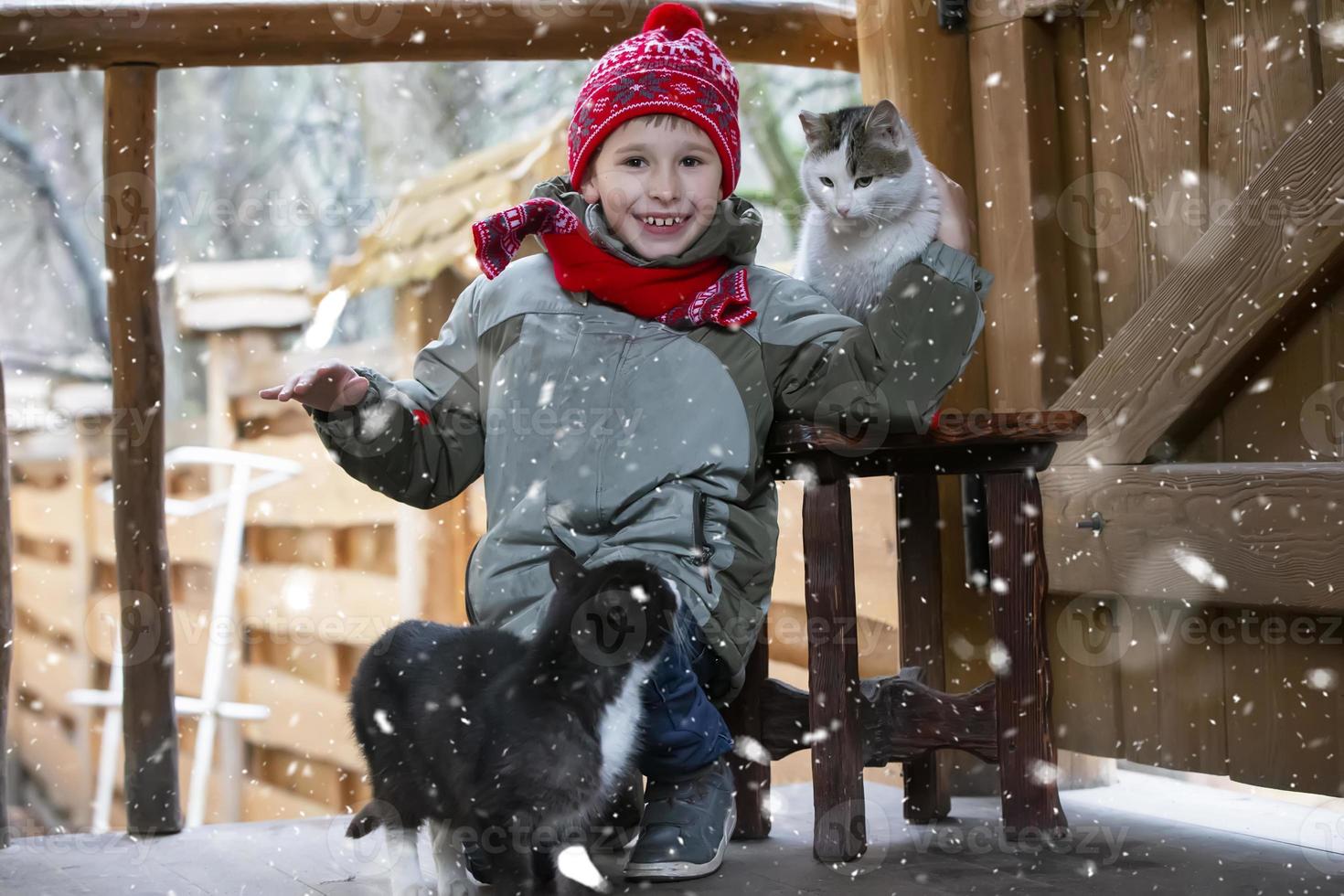 enfant dans le hiver avec animaux. une garçon pièces dans le rue avec chats. photo