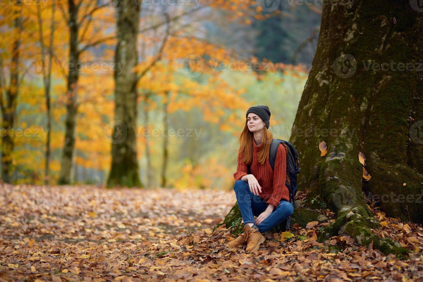 portrait de une femme dans une chandail et jeans et une chapeau en dessous de une arbre dans le l'automne forêt photo