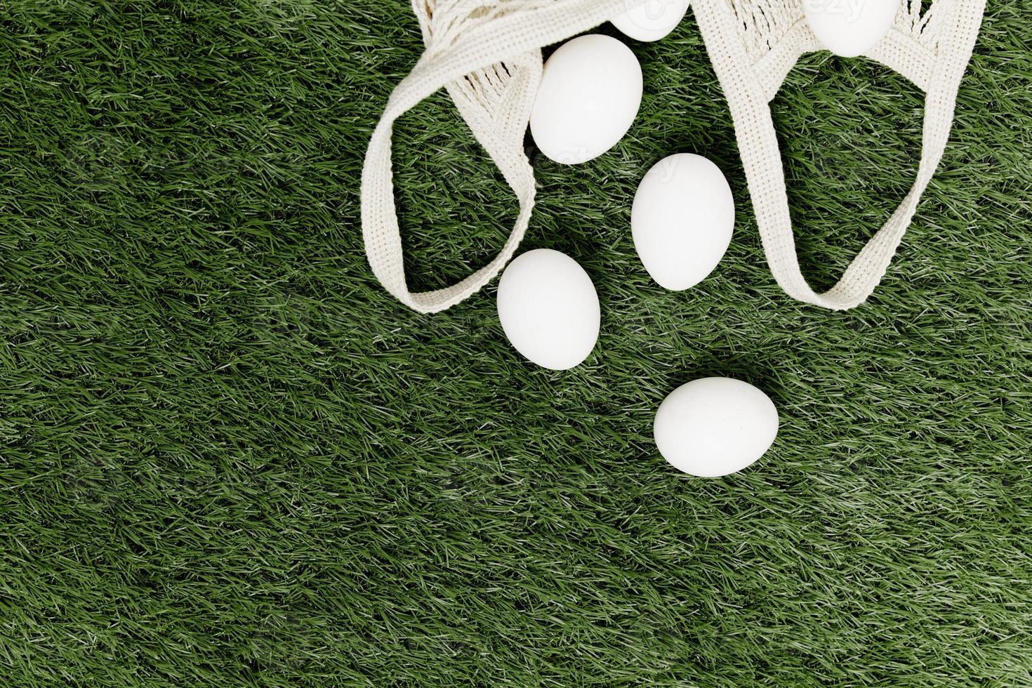 blanc des œufs sur une vert pelouse vacances Christian journée vert Contexte photo