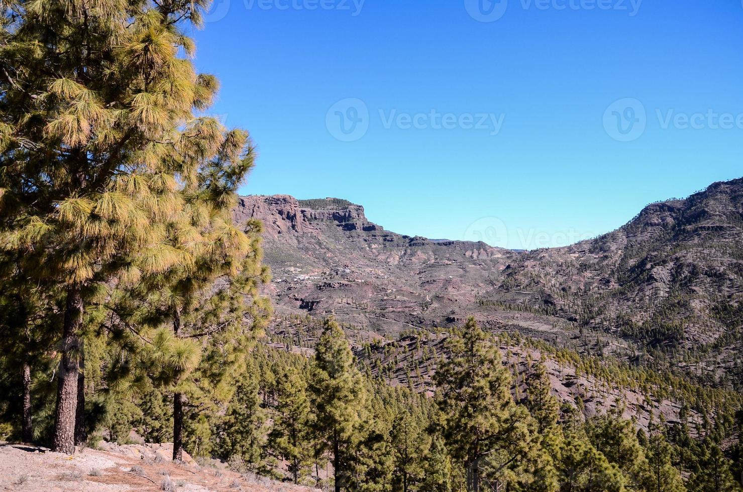 vue panoramique sur la montagne photo