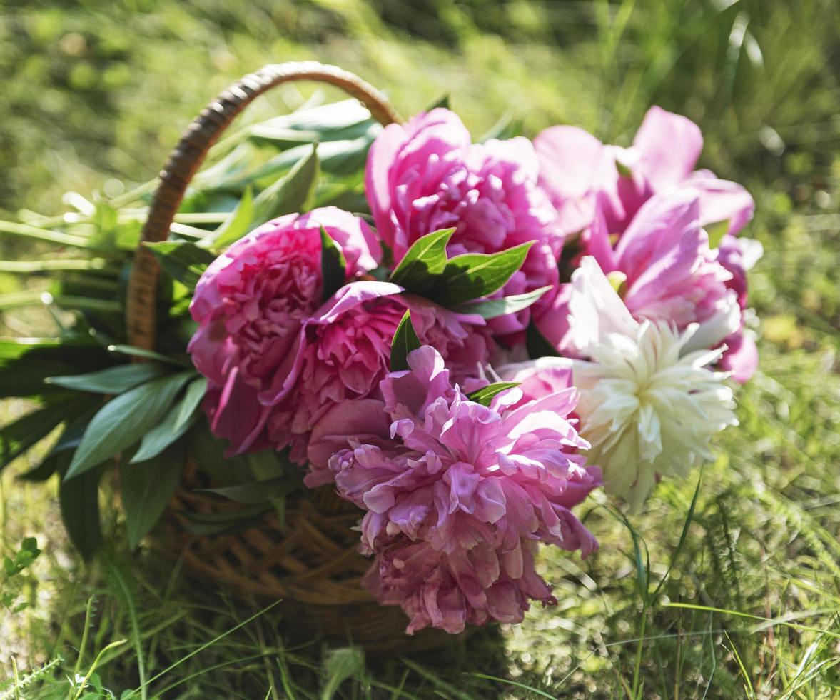 panier avec pivoines photo