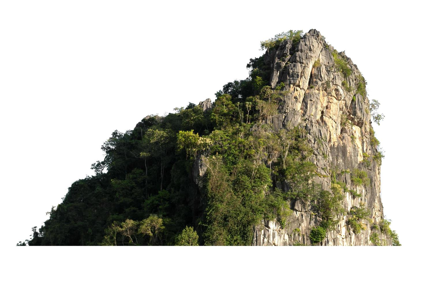 Rock Mountain Hill avec forêt verte isoler sur fond blanc photo