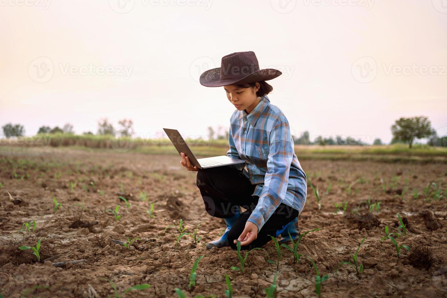 Jeune femme utilisation portable ordinateur vérification blé dans cultiver. La technologie agriculture conept photo