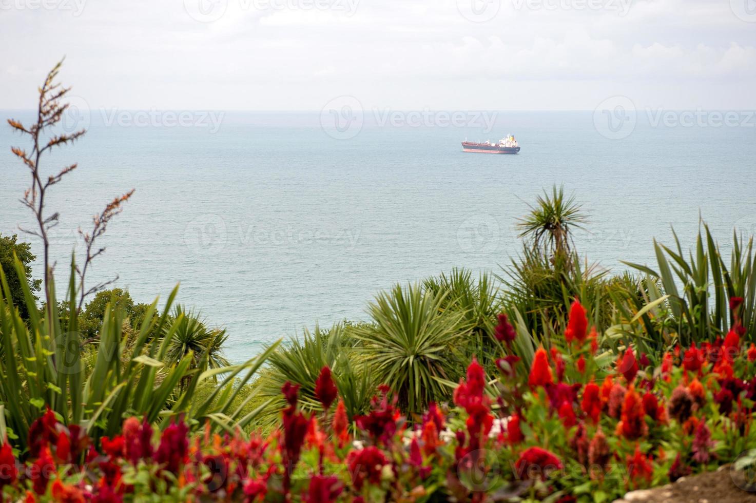 vue de le mer et le barge de le colline suivant à le rouge floraison les plantes photo