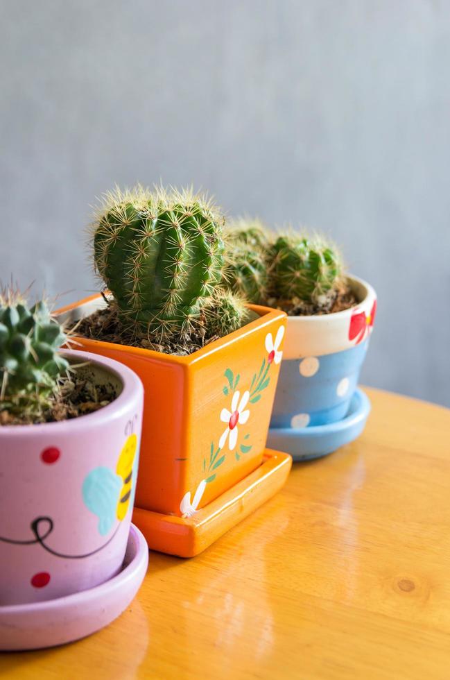 cactus plante dans des pots décoration sur le table avec béton mur photo