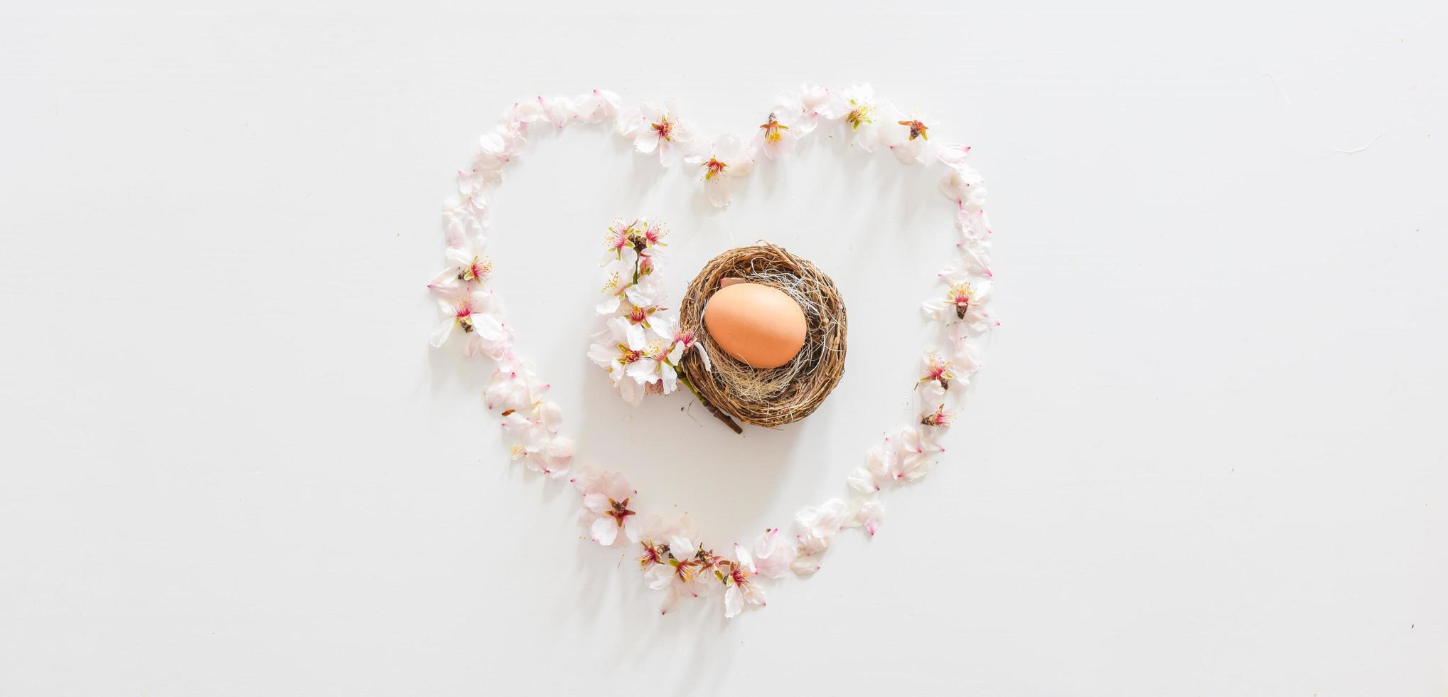 Les fleurs de marguerite printanière forment un cœur avec un œuf de Pâques et une fleur de marguerite au milieu photo