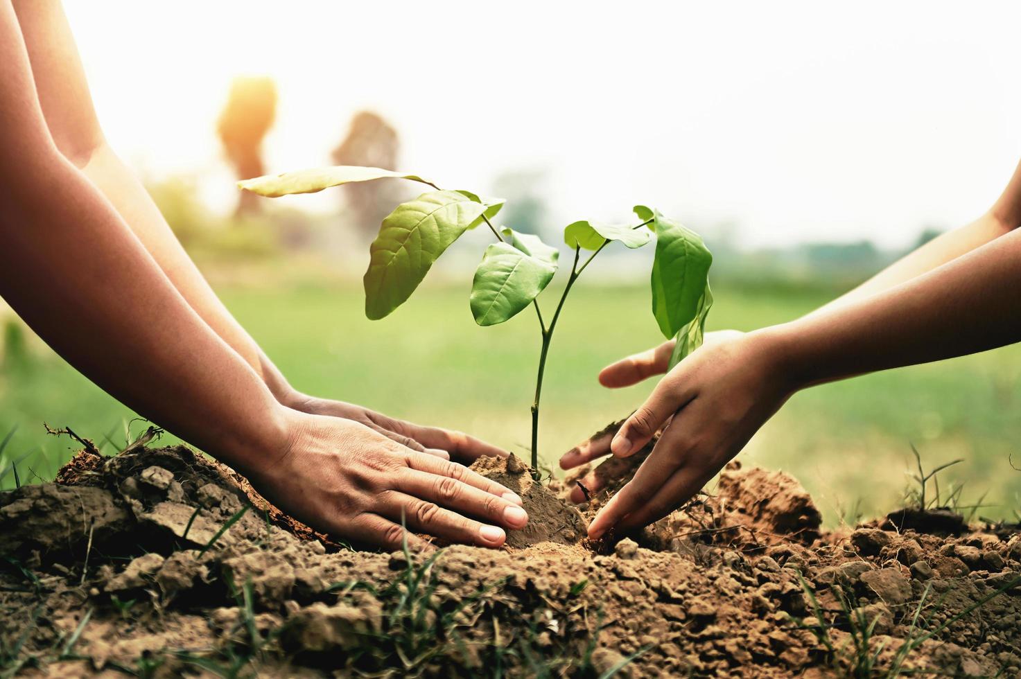 mère avec enfants aidant à planter des arbres dans la nature pour sauver la terre. concept écologique de l'environnement photo