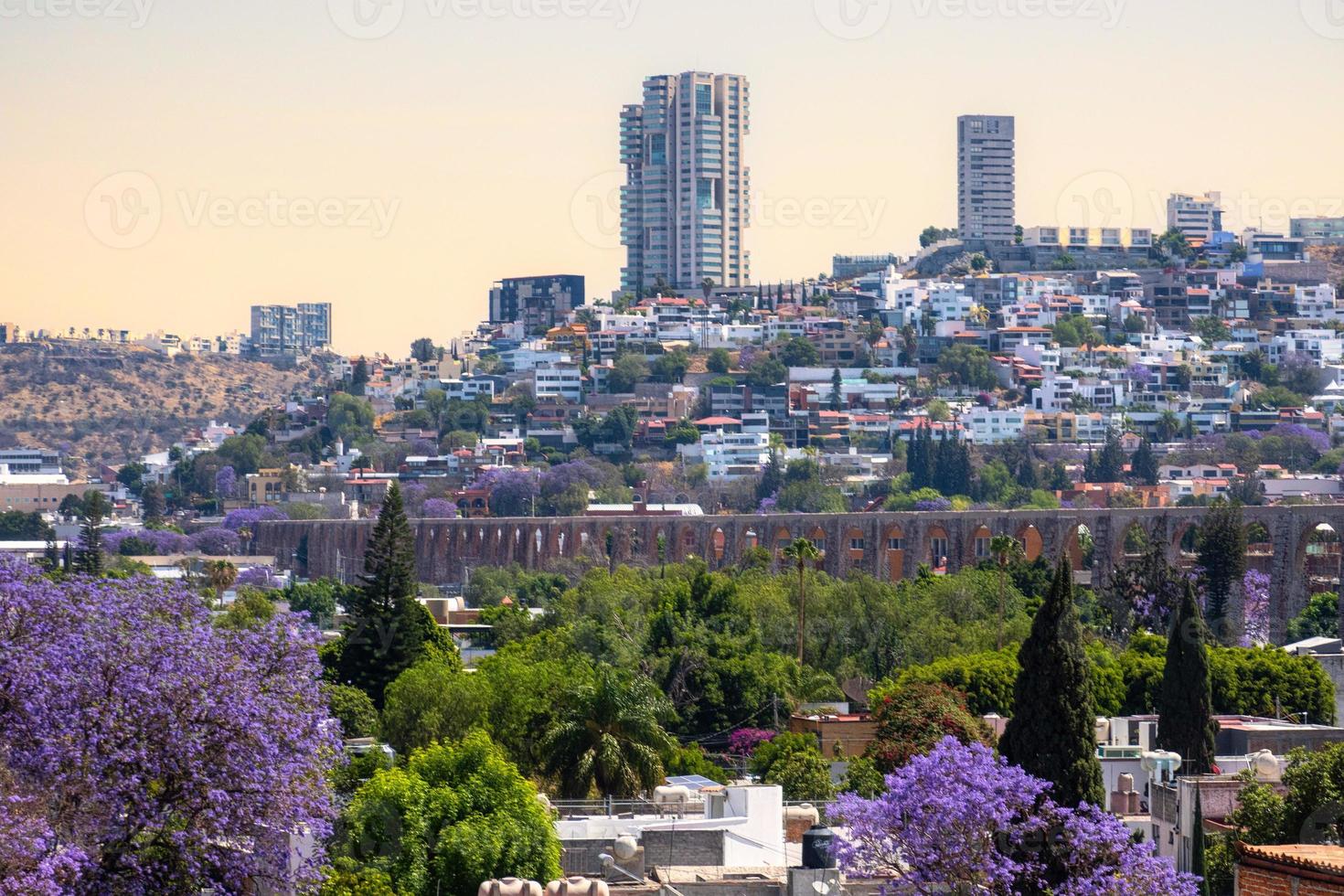 vue de le ville de querétaro Mexique aqueduc avec jacaranda arbre photo