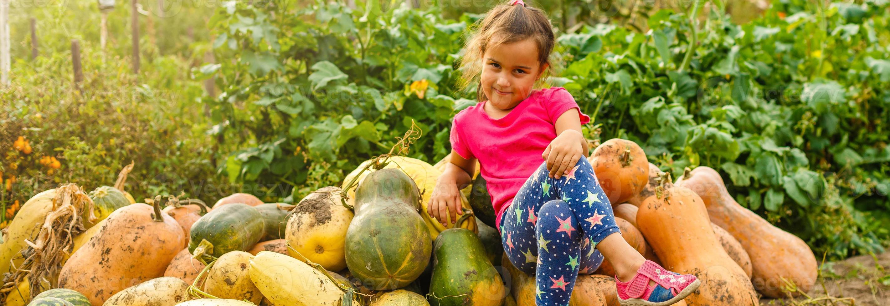 peu fille avec citrouille Extérieur ayant amusement dans l'automne parc. photo