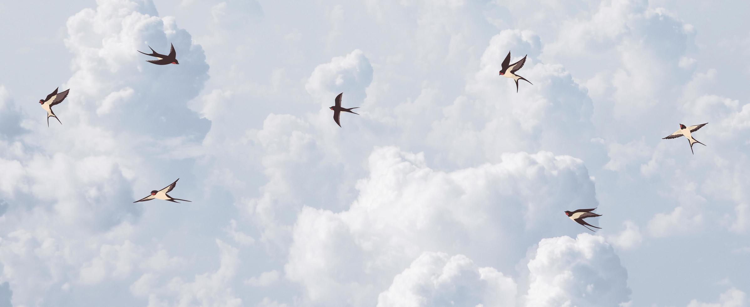 magnifique des nuages aérien vue ciel photo