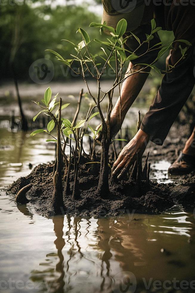 restauration le littoral communauté engagement dans plantation mangroves pour environnement préservation et habitat restauration sur Terre jour, promouvoir durabilité. Terre journée photo