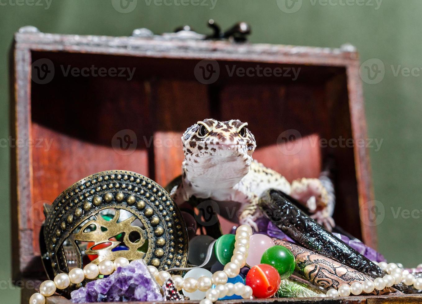 Spotted eublefar assis sur une pile de bijoux dans un coffre décoratif photo