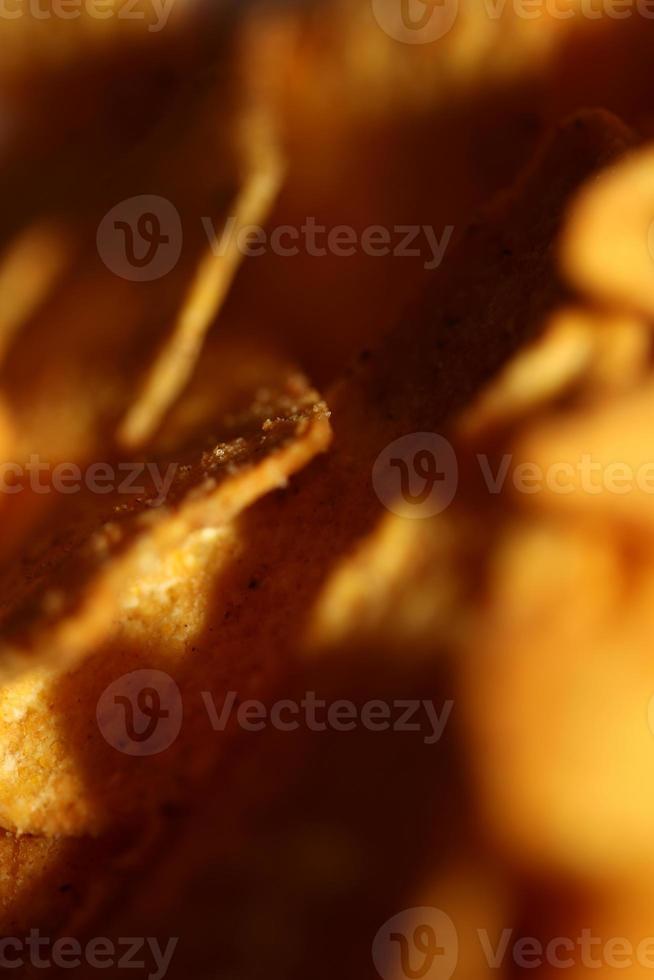 fait maison tortilla épicé frites fabriqué avec plat pain et cuit dans four proche en haut macro Contexte gros Taille haute qualité instant en mangeant impressions photo