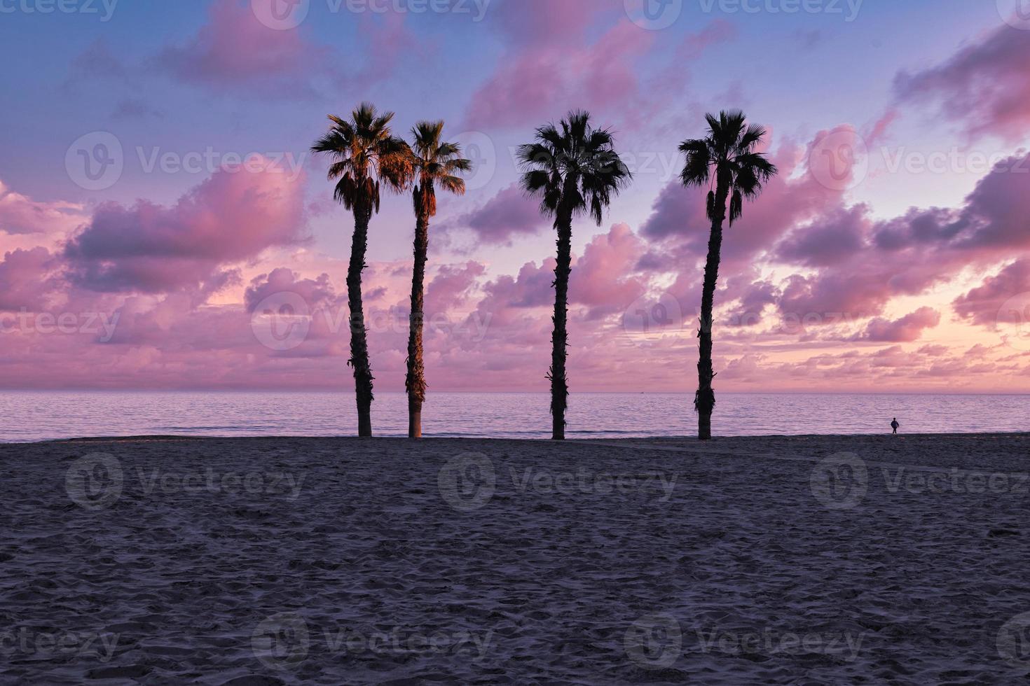 bord de mer paysage paix et silencieux le coucher du soleil et quatre paume des arbres sur le plage photo