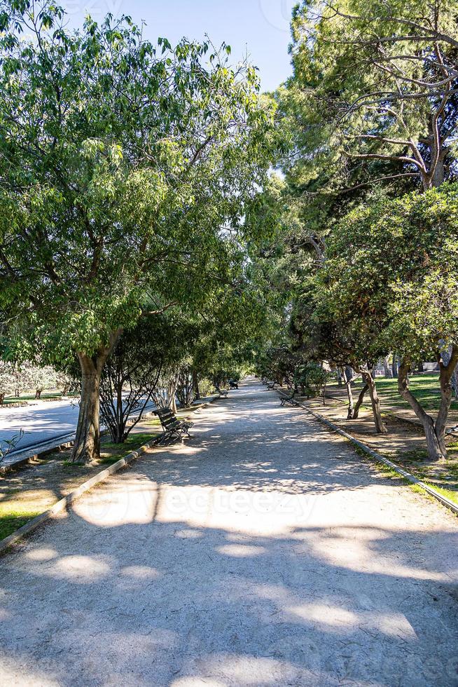 gravier parc ruelle sur une été journée parmi vert des arbres photo