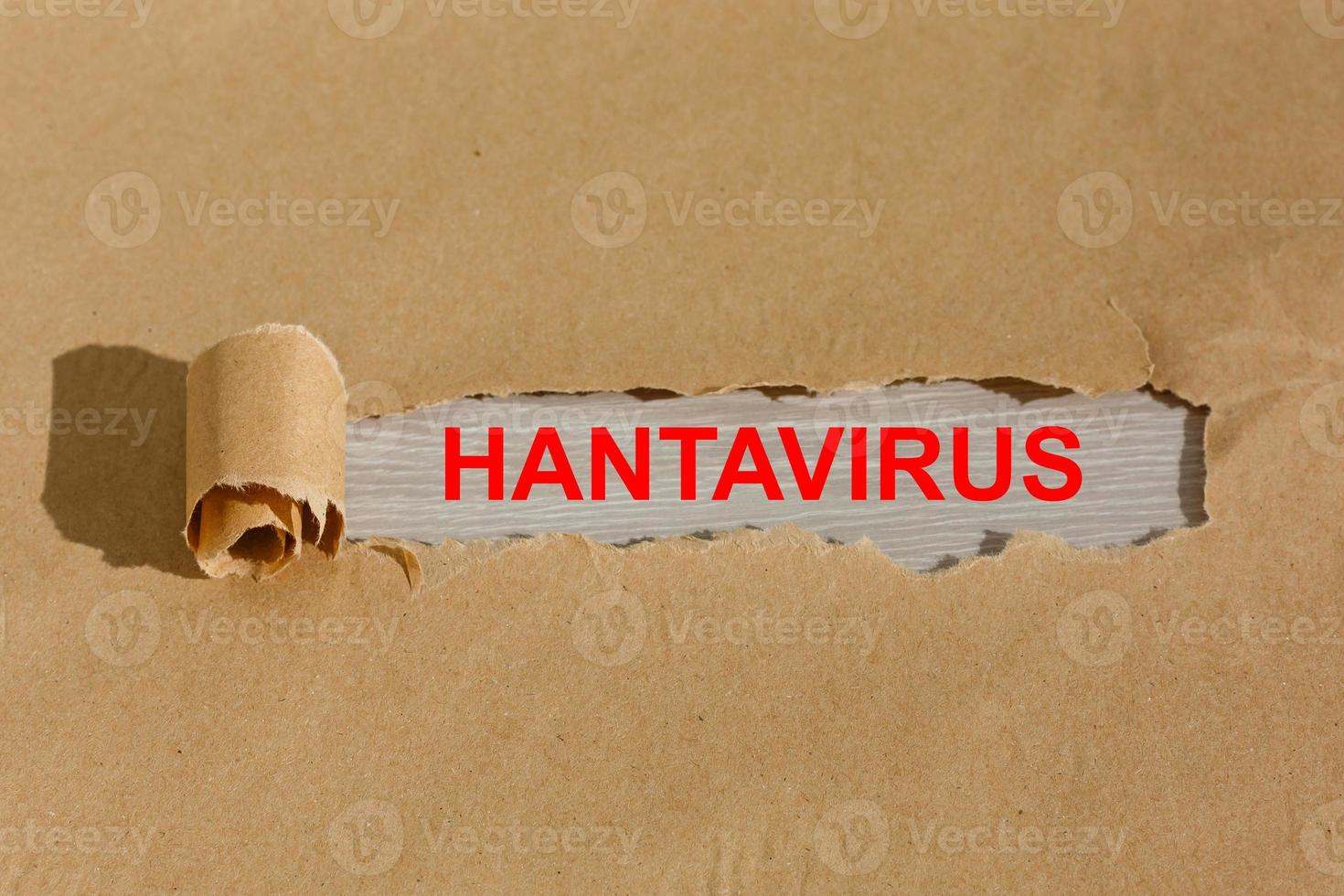 hantavirus mot nuage concept sur gris Contexte photo