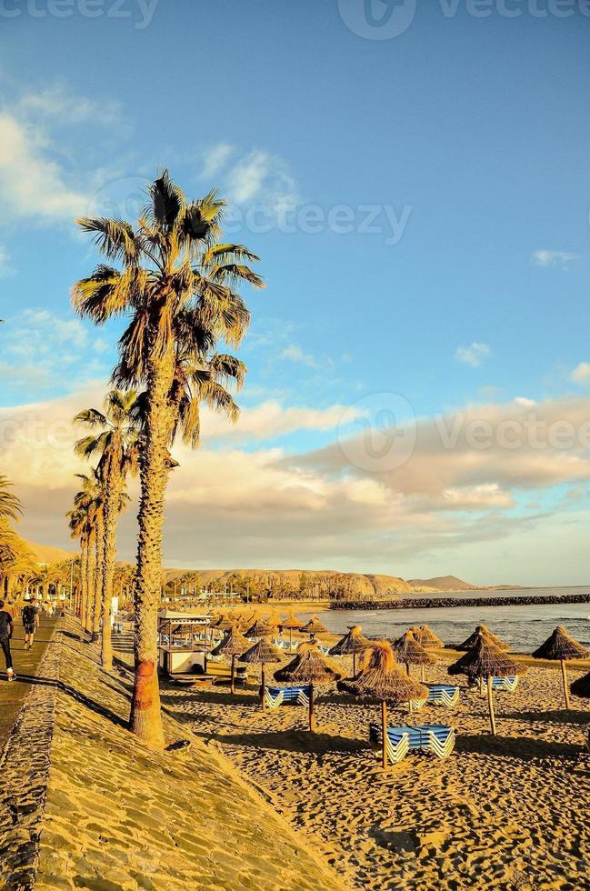 magnifique plage sur Tenerife photo