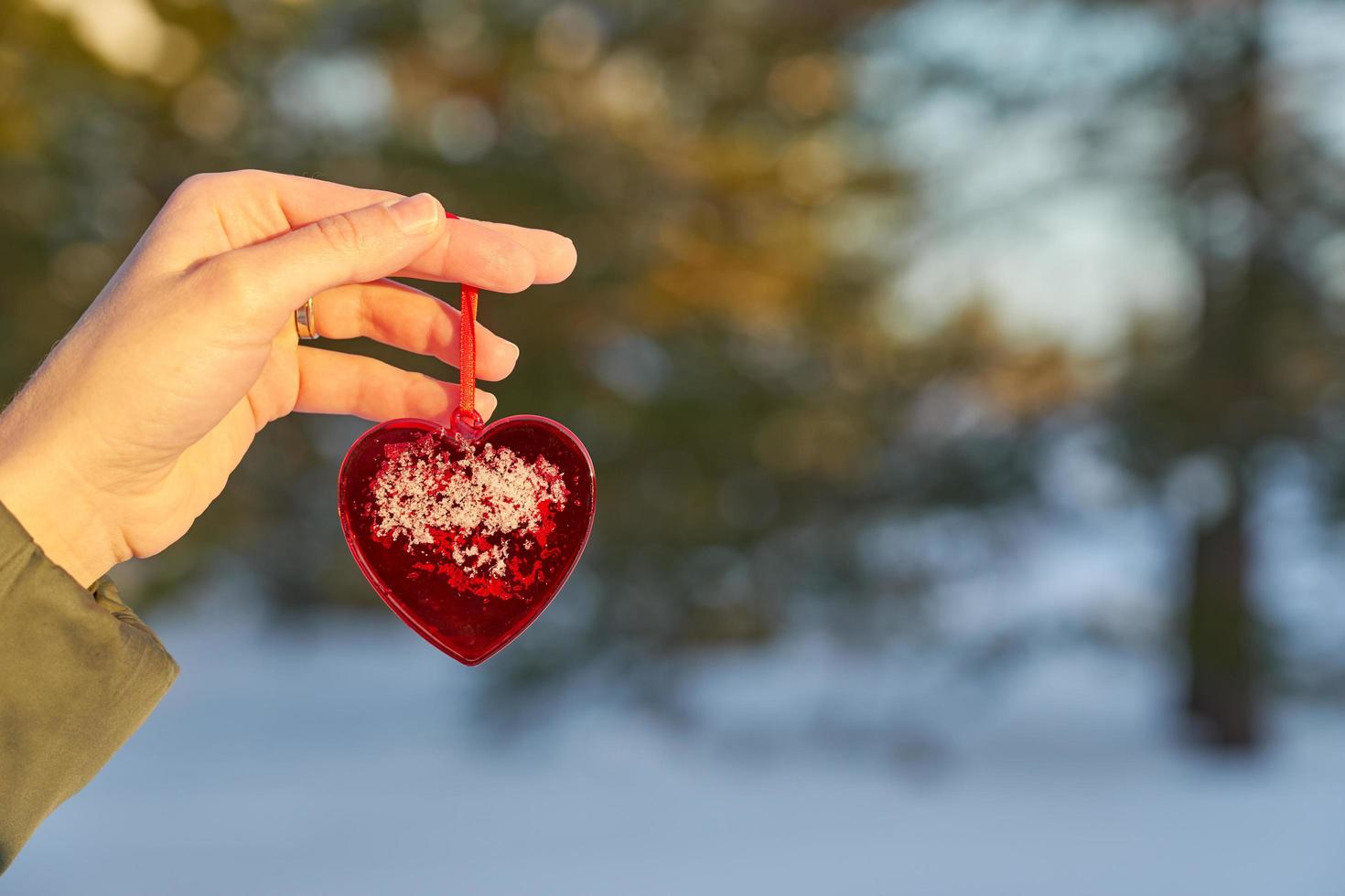 main tenant un coeur rouge photo