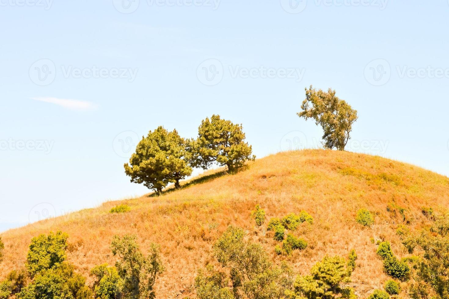 scénique rural paysage photo