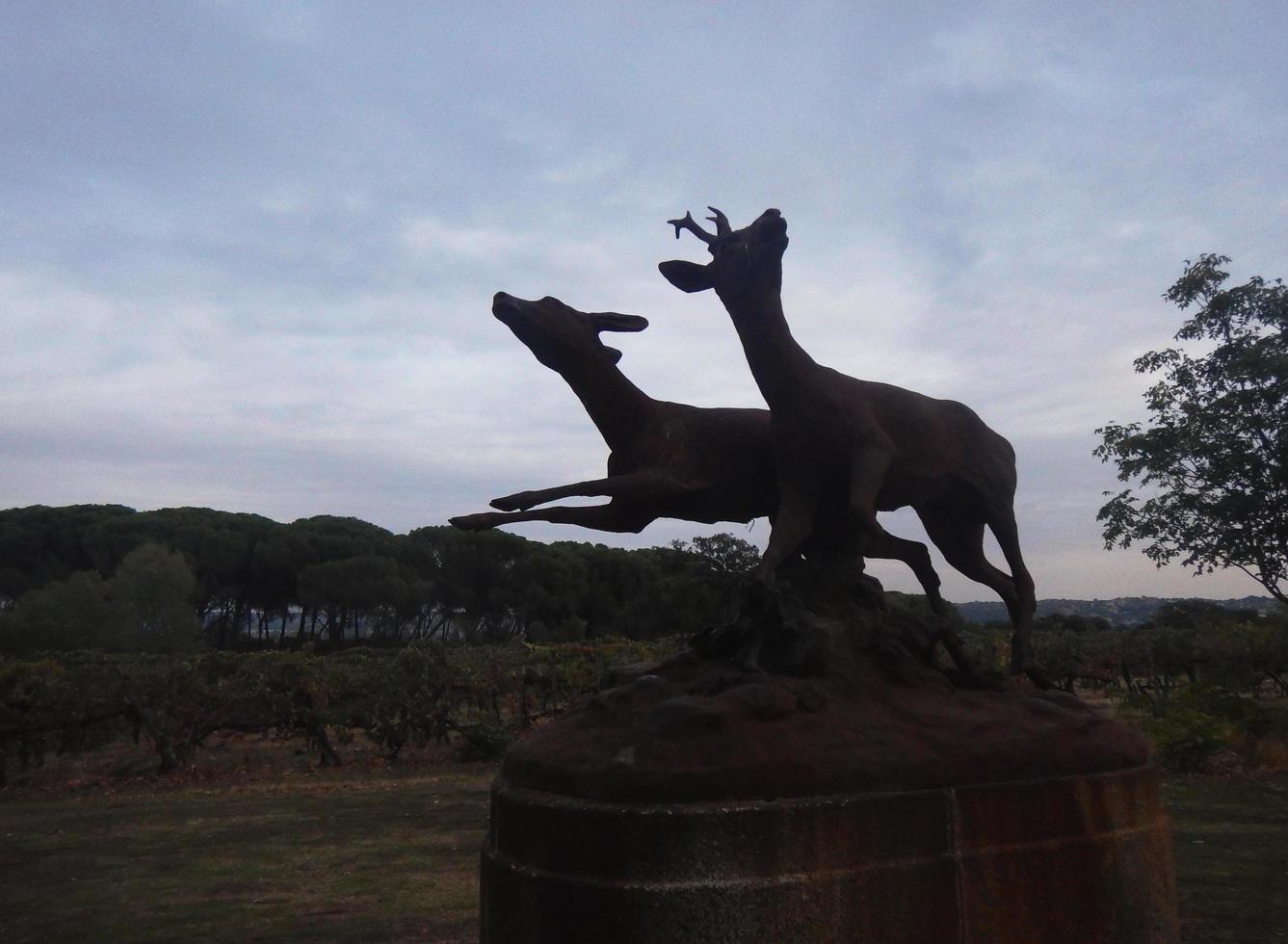 sculpture dédiée au cerf et à l'activité de chasse dans la nature photo