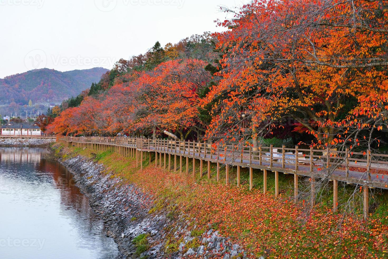 wolyeonggyo pont, en bois pont à andon, Sud Corée. photo