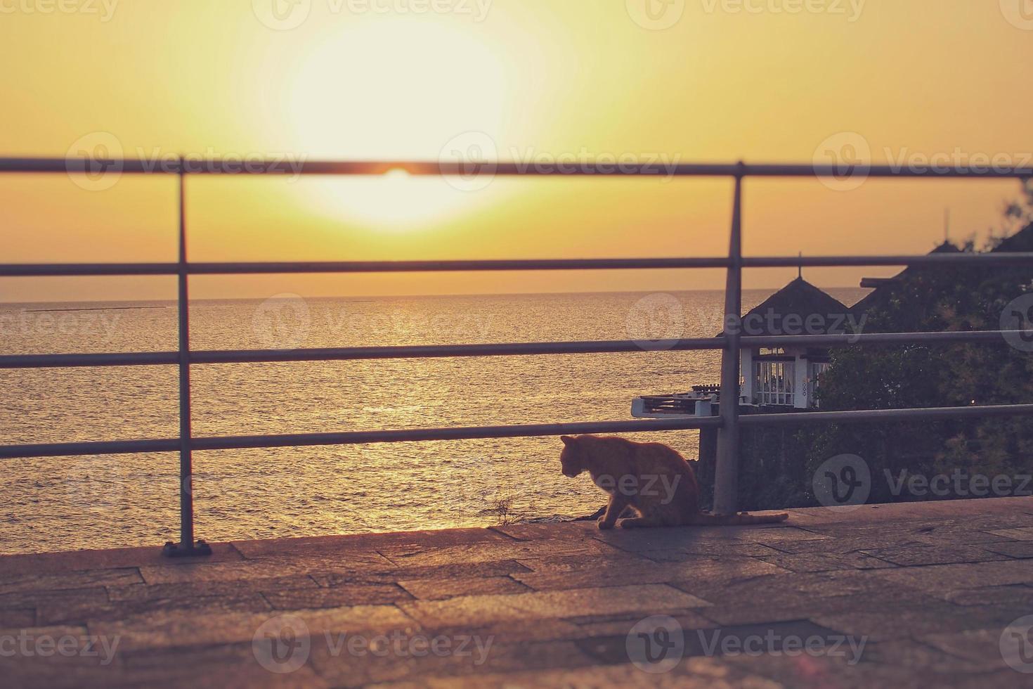 pittoresque océan paysage avec le réglage Soleil dans une tropical pays pendant été vacances avec chat photo