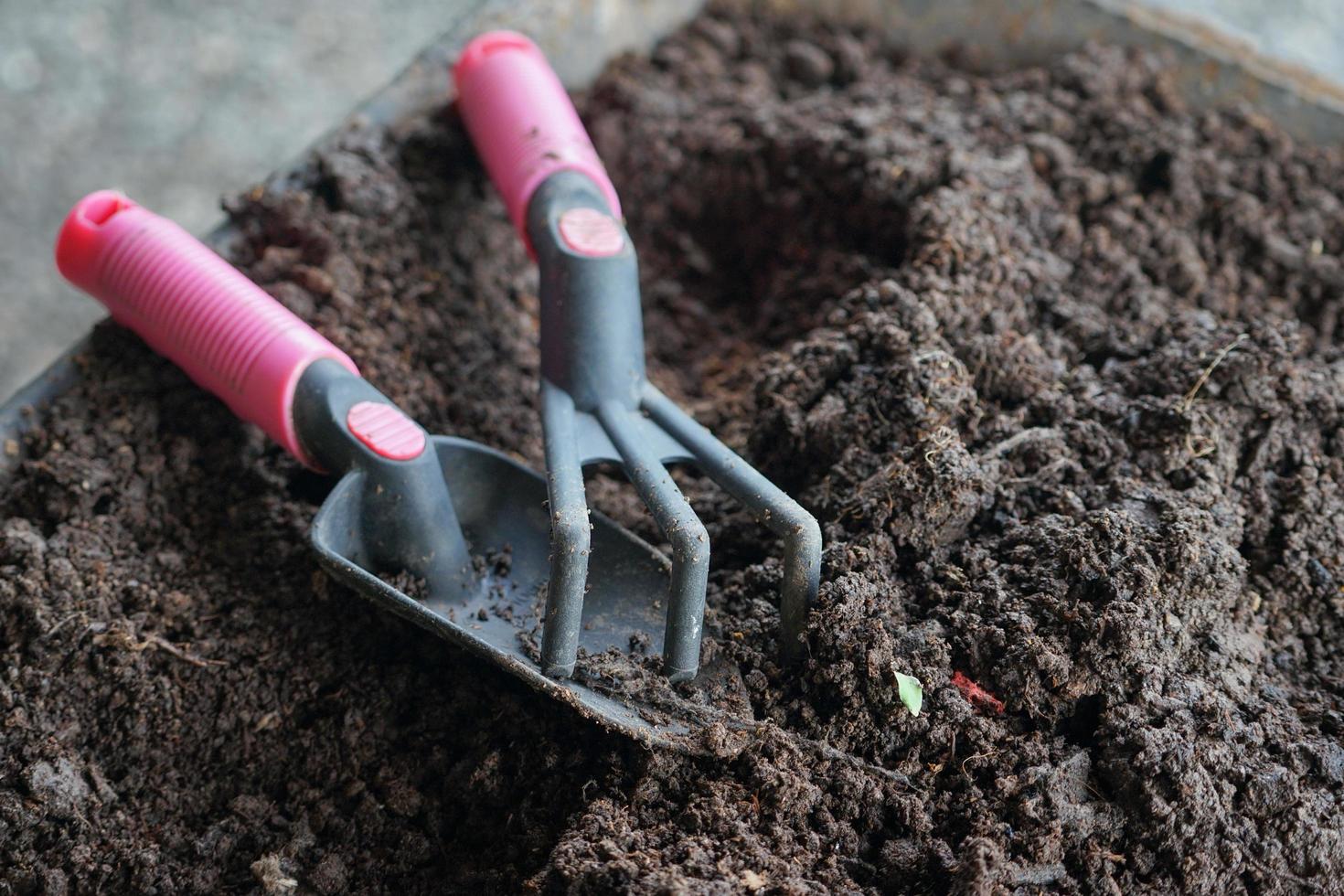 Gros plan d'outils de jardinage sur le sol fertile photo