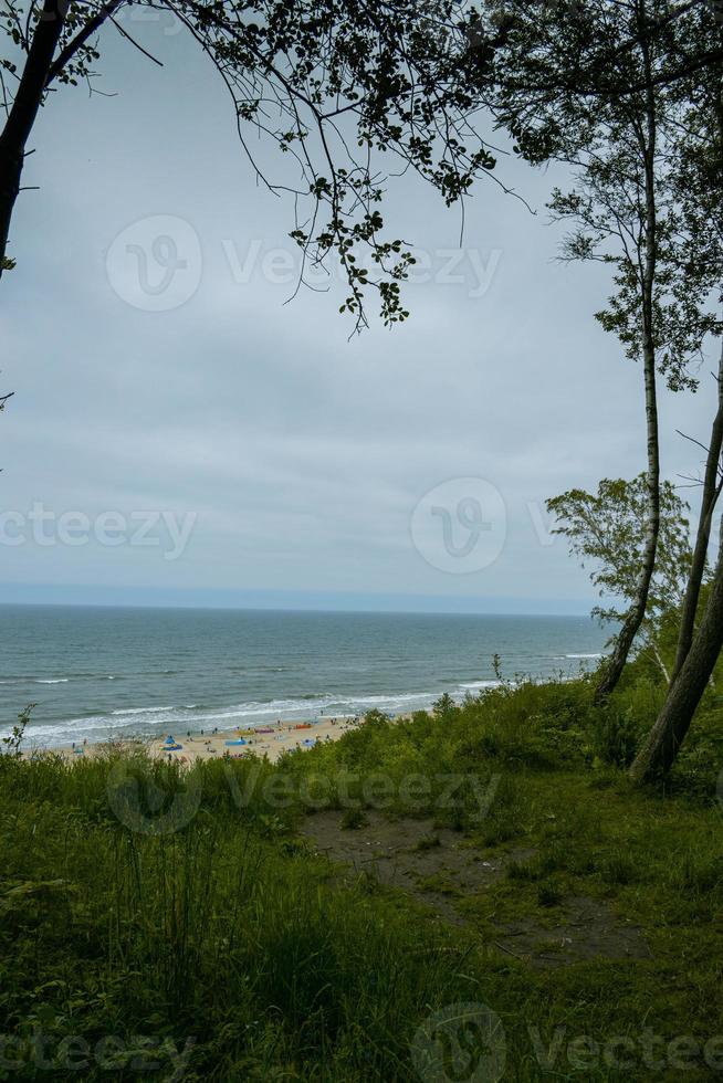 vue de le escarpement à le plage sur le baltique mer sur une été journée photo