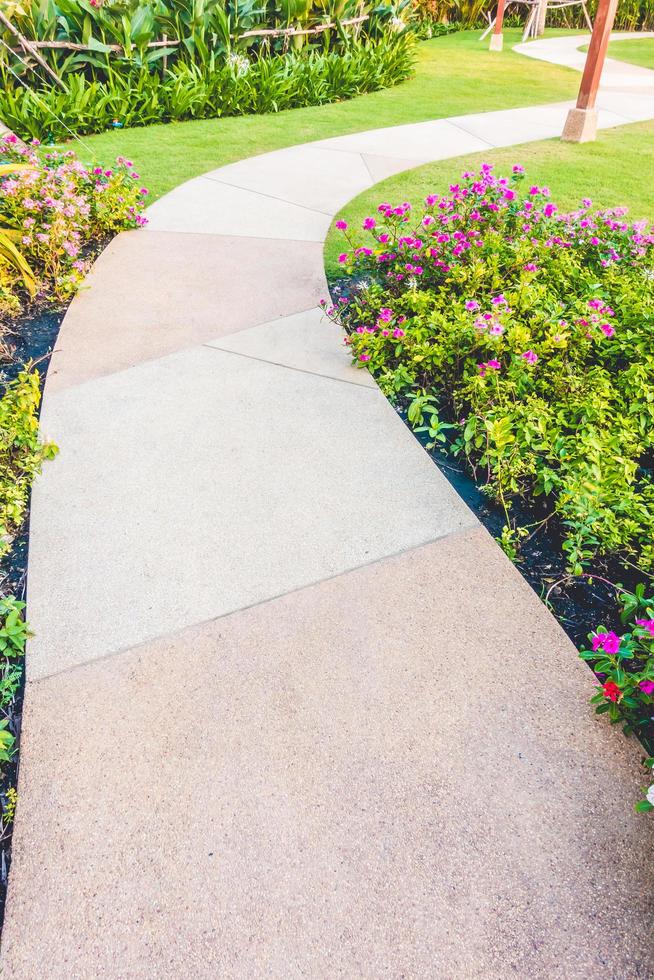 chemin chemin dans le jardin photo